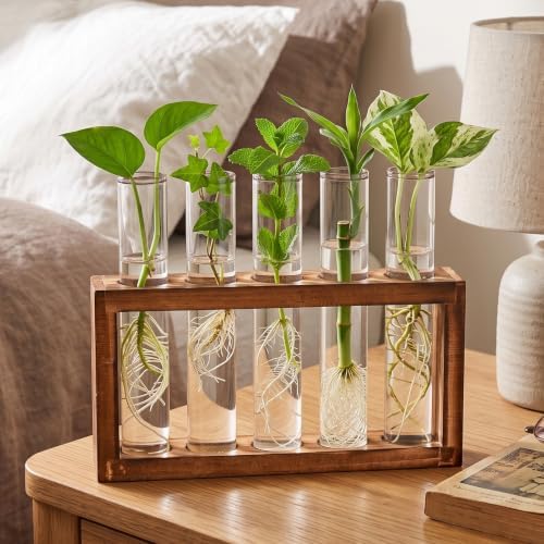 Tigvio Desktop Glass Plant Propagation Station (5 Tubes) - Image 5
