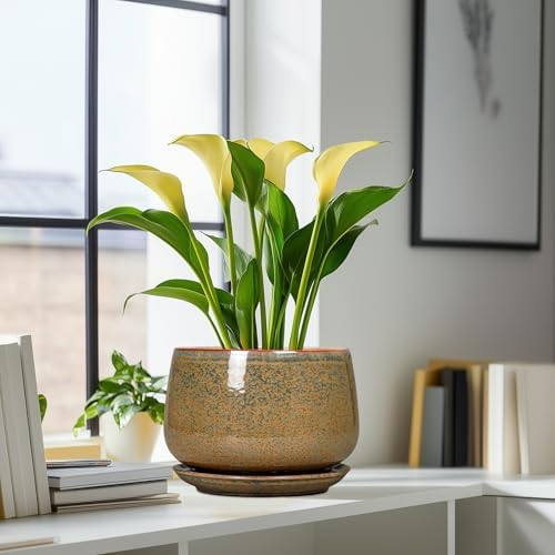 G EPGardening Ceramic Planters - 9 Inch Ceramic Pots for Plants Indoor Outdoor, Round Planter with Drainage and Saucer, Modern Indoor Flower Pots, House Room Decor, Gift for Women Men, Speckled Brown - Image 6