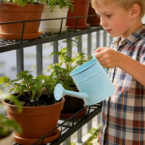 Small Watering Can, 1L Metal Flower Garden Watering Can, Gardening Tool Accessories for Outdoor Indoor Plants Lawn (Light Blue) - Image 2