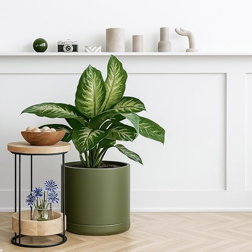 D'vine Dev 12 Inch Ceramic Planter Pot, Olive, 94-O-F-J - Image 3