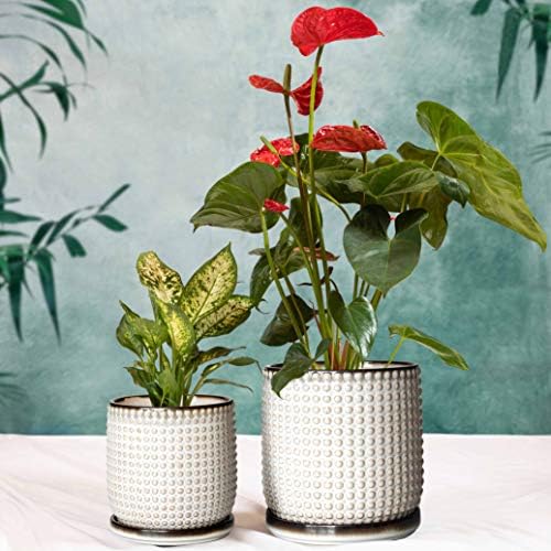 D'vine Dev Beaded Ceramic Planter Pots, 4/6 in, Smoked White, 27-D-U-1 - Image 6