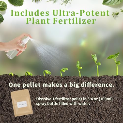 10-Set Indoor Herb Garden Starter Kit, 7 Seeds Growing into Basil, Parsley, Thyme, Mint, Cilantro, Dill, Oregano Including 10 White Pots, Markers, Nutritional Soil, Ideal Christmas Gifts for Women - Image 5