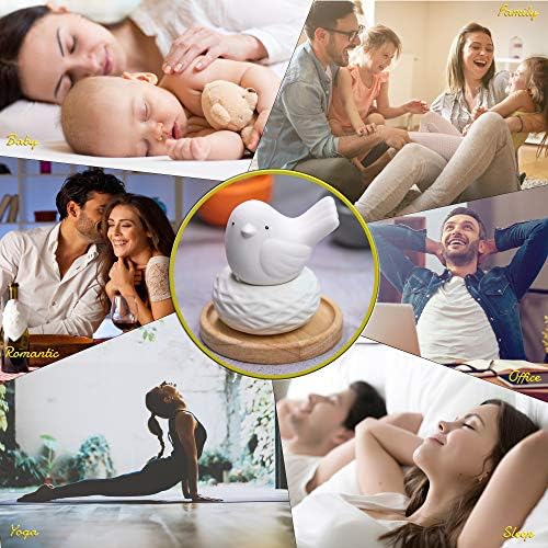 Little Bird Nest, Non-Electric Ceramic Diffusers for Essential Oils and Aromatherapy Fragrance, White Ceramic Diffusers in Car or Bathroom and Desk Office Decor, White Vase - Image 5