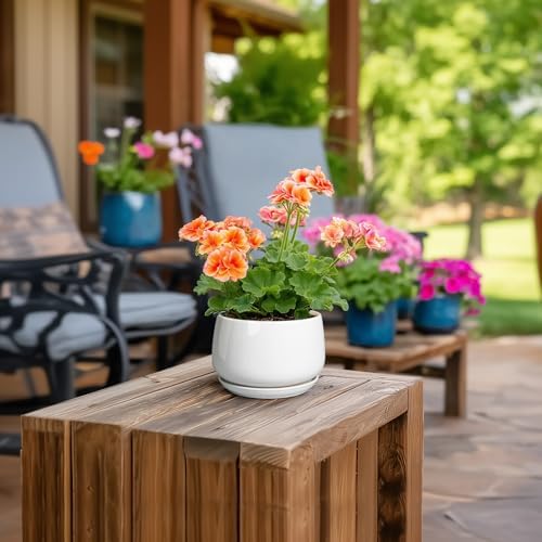 G EPGardening Ceramic Plants Pots - 4 inch Succulent Pots for Indoor Outdoor, Small Planter with Drainage Hole & Saucer, Round Planter, Modern Flower Pot, Office Decor, Plant Lovers Gifts, White - Image 4