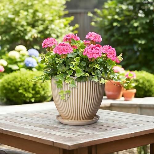8 Inch Pots for Plants, Ceramic Planter with Drainage Hole and Saucer, Decorative Indoor Plant Pots for Snake Plants, Modern Round Flower Pot, Office House Decor, Gardening Gifts, Beige - Image 4