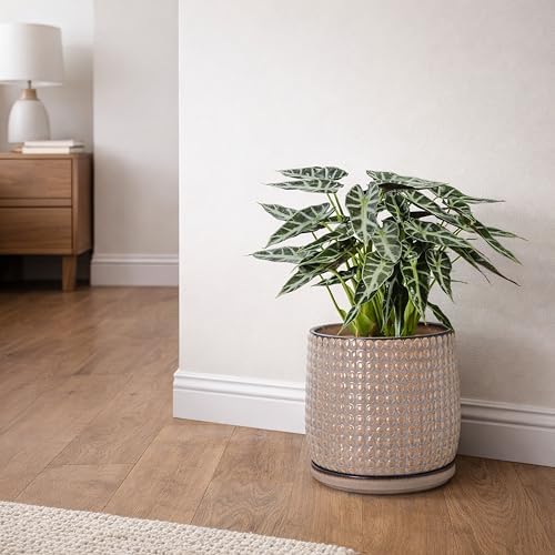 D'vine Dev Beaded Ceramic Pot with Saucer, 8 in, Light Brown, 27-C-Q-4 - Image 5