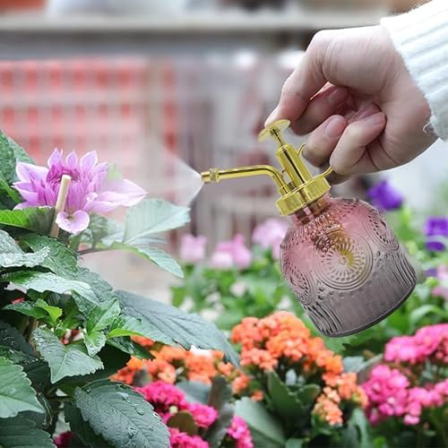 Glass Plant Mister Spray Bottle, 230ML Vintage Plant Spritzer, Succulent Watering Bottle Glass with Top Pump, Small Plants Sprayer Watering Can for Indoor Outdoor House(Red Gray) - Image 2
