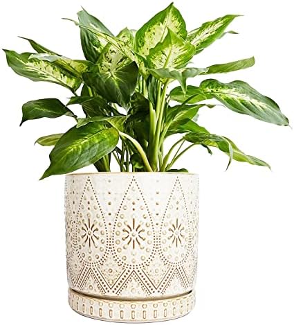 8 Inch Indoor Plant Pot with Drainage Holes and Saucers, Ceramic Planter for Plants, Succulent Orchid Flower Pots by YFFSRJDJ