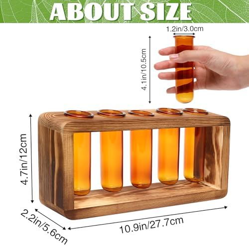 Glass Plant Propagation Station with 5 Test Tubes Colorful Planter Vase - Image 2