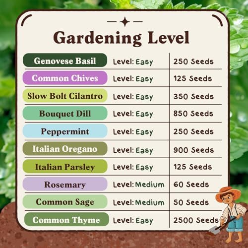 Seedboy Organic Non-GMO Herb Seeds for Planting (10 Herb Variety Pack) - Image 6