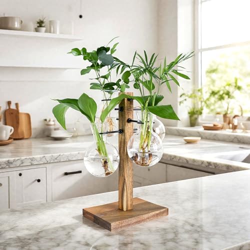 Plant Propagation Station with Large Acacia Wood Stand and 4 Glass Vases by E-ROOMTREND