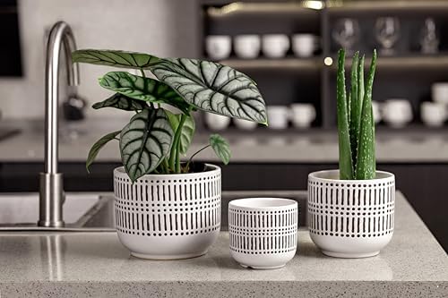 Docrin 3-Pack Ceramic Plant pots Set - 6.5"+5.3"+4" Dual-Tone Flower Pots with Drainage Holes, Modern Indoor Outdoor Planters for Succulents/Herbs/Large Plants, Home Office (Brownish Black & White) - Image 4