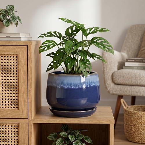 Ceramic Pots for Plants, 9 Inch Indoor Planter, Deep Blue - Image 4