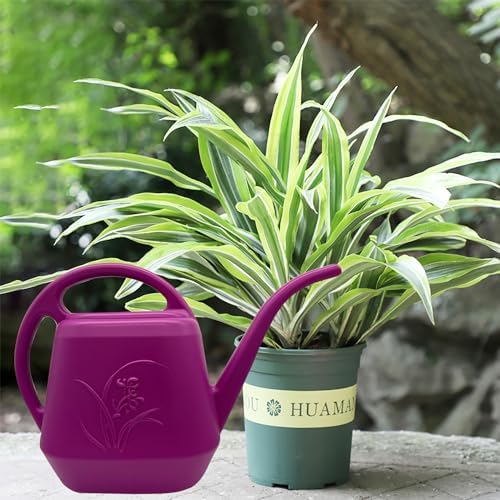 Plant Watering Can - Plastic for Indoor and Outdoor Home Plant - 1/2 Gallon - Rose Red - Image 5