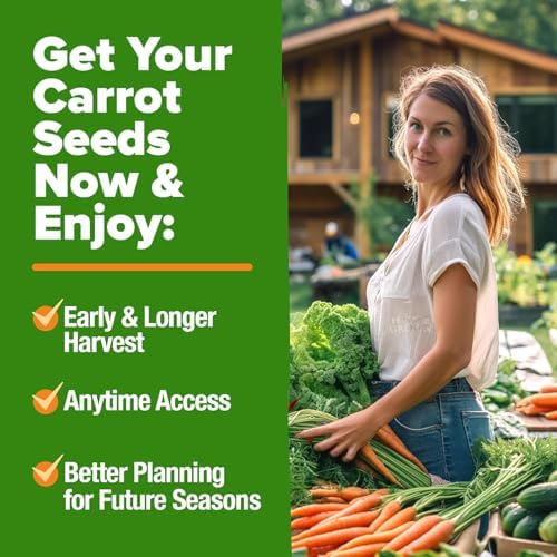 HOME GROWN 10 Rainbow Carrot Variety Mix 3350+ Seeds Daucus carota - Image 6