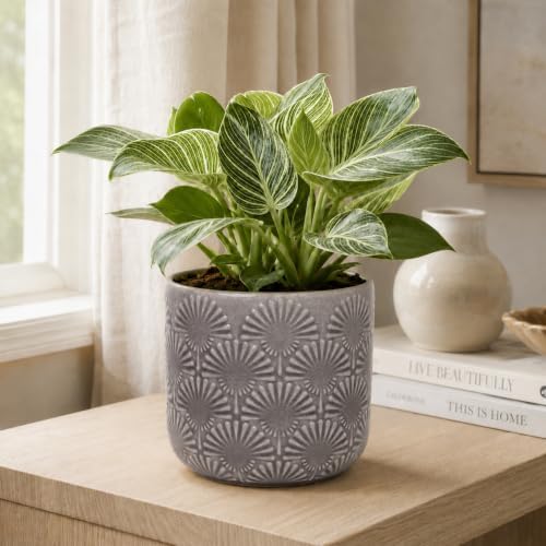 Modern Ceramic Pots for Plants, 6.7" Nordic Planters for Indoor Plants - Image 4