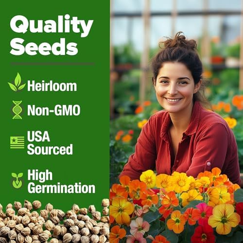 HOME GROWN Nasturtium 250+ Seeds, Dwarf Tall Trailing Mix, Tropaeolum majus - Image 2