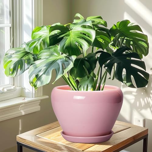 Ceramicfor 10 Inch Plant Pot - Ceramic Planter for Indoor Plants, Glaze Modern Round Planter with Drainage Hole and Saucer, Gifts for Plant Lovers, Office Patio Home Room Decor, Pink - Image 6