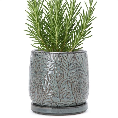 D'vine Dev Embossed Leaves Ceramic Planter, 6 in, Graphite Blue, 27-A-X-9 by DvineDevPlanterPotsandStand