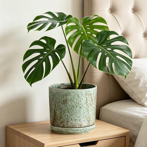 Ekirlin 7 Inch Modern Plant Pot, Ceramic Glaze Planters for Indoor Plants, Round Flower Pots with Drainage Hole and Saucer, Orchid Planter Pot for Succulent, Pothos, Snake Plant,Gift for Plant, Green - Image 5