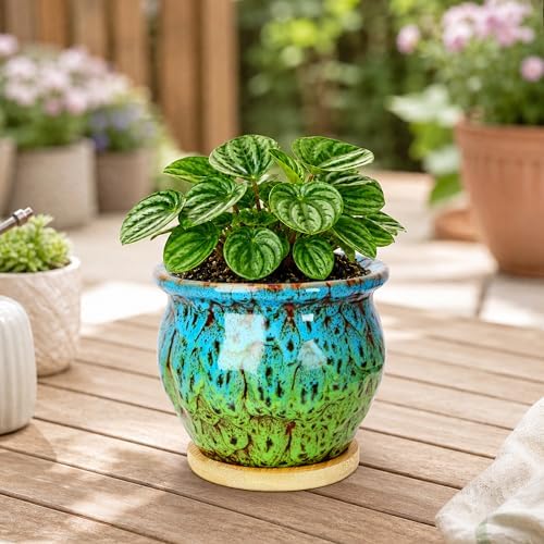 4.5 Inch Plant Pots, Small Pots for Plant Indoor, Succulent Pots with Tray - Image 5