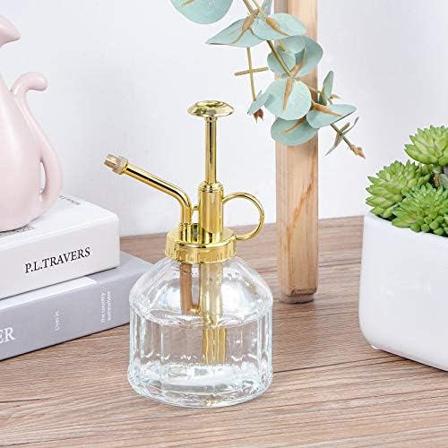 Glass Plant Mister Spray Bottle, Succulent Watering Bottle with Golden Top Pump, Vintage Plant Spritzer, Decorative Water Sprayer Small Watering Can for Indoor Outdoor Houseplant - Clear - Image 5