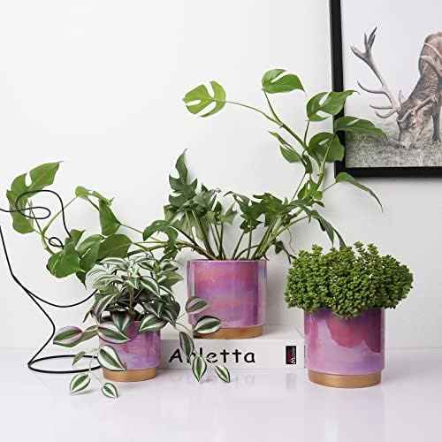 Gepege Ceramic Plant Pots for Indoor Plants, Planters with Drainage Holes - Image 5