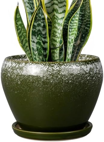 Ceramicfor 8 Inch Plant Pot - Ceramic Planter with Drainage, Dark Green by Ceramicfor