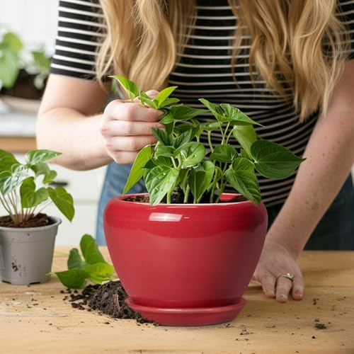 Ceramicfor 6 Inch Plant Pot - Glaze Modern Ceramic Planter for Indoor Plants, Succulent Pot with Drainage Hole and Saucer, Office Garden Home Decor, Housewarming Gift, Red - Image 6