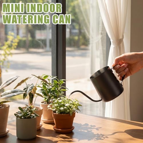 2 Pcs Small Watering Can for Indoor Plants, 12 Oz/350 ml Mini Plant Watering Pot with Long Spout and Scale 304 Stainless Steel Tiny Watering-can for Outdoor Indoor Plants Garden(Black) - Image 4