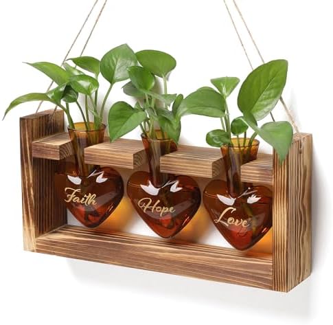 Plant Terrarium Propagation Stations Hydroponics by MTsigns
