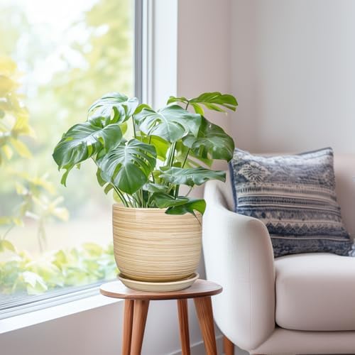 Indoor Plant Pot 8 Inch - Cylinder Modern Ceramic Planter for Indoor Outdoor Plants with Drainage Hole and Saucer, House Office Home Room Desk Decor, Yellow - Image 7