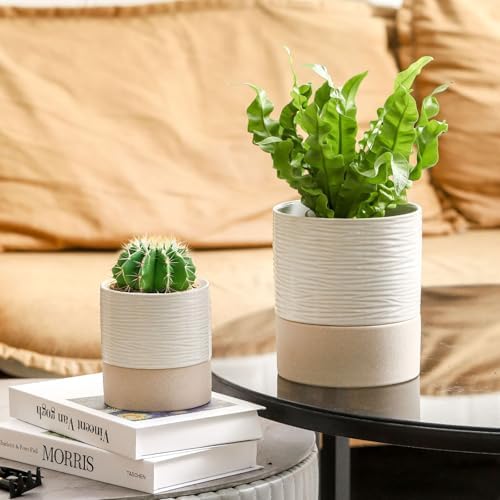 Nihow Ceramic Self Watering Plant Pot for Indoor Plants, 4.5+6 Inch - Image 6