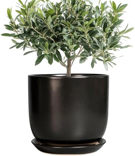 Ceramic Flower Pot 8 Inch - Modern Round Planter for Indoor Outdoor Plants with Drainage Hole and Saucer, Home House Room Office Patio Decor, Black by SUNPOTFOR