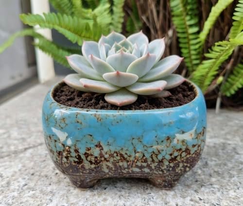 Cute 4.7 Inch Rectangle Ceramic Home Garden Decoration Succulent Cactus Flower Pots Container -Plant Not Included (Blue) - Image 2