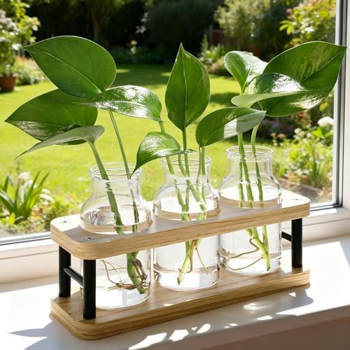 THYGIFTREE Plant Propagation Station with Wooden Stand, Propagation Vases Glass Planters for Indoor Plants Hydroponic Propagating Jars Home Office Decor, Plant Lover Gifts by THYGIFTREE