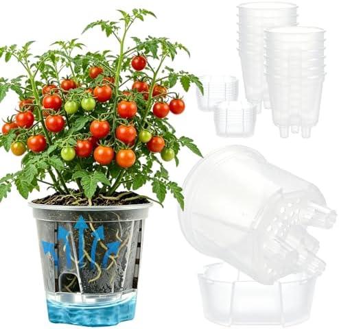 Cdd's Path 5 Inch Clear Self Watering Pots Set, 12 Pack Naked Root Planter with Deep Water Tank, Large Drainage Holes, Reservoir & Air Pipes for Indoor Outdoor Plants, Flowers, Seedlings by Unknown