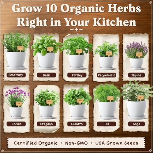 Seedboy Organic Non-GMO Herb Seeds for Planting (Herb Garden Starter Kit) - Image 4