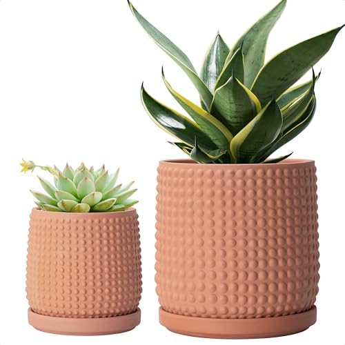 D'vine Dev Beaded Terracotta Planter Pots, 4/6 in,Terra Cotta, 27-D-U-7 by DvineDevPlanterPotsandStand