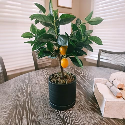 HERDUK 6 Inch Plant Pots, Ceramic Planter Pot with Drainage Hole & Saucer, Indoor/Outdoor Cylinder Round Planter Pot, Matte Black - Image 5