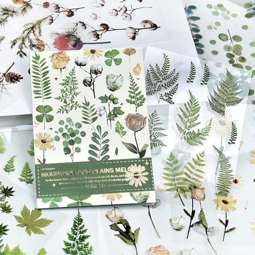 400PCS Plants Floral Scrapbook Stickers Kit Vintage Fern Flowers Green Transparent Waterproof Stickers Book for Scrapbooking Supplies Aesthetic Junk Journal Journaling Craft 20-Page by DAPUTOU