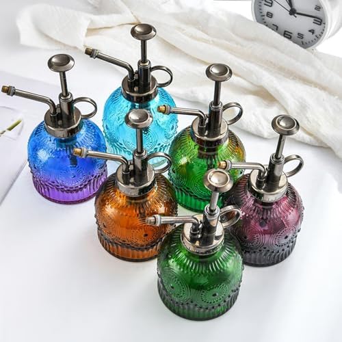 Spray Bottle for Plants, Plant Mister Spray Bottle, Glass Plant Mister Spray Bottle, Embossed Vintage Glass Watering Can, Succulent Watering Bottle with Top Pump for Outdoor (A) - Image 7