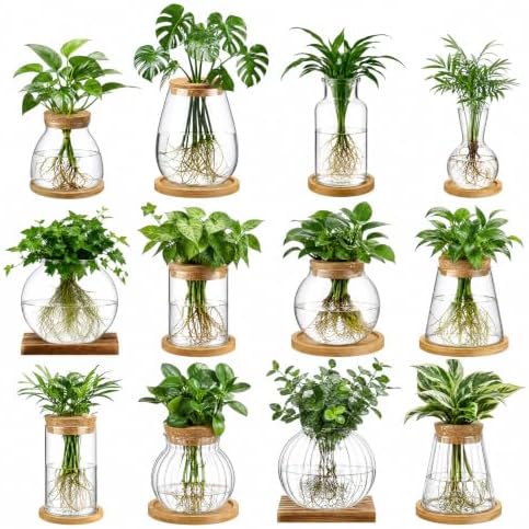 Honeydak 12 Pcs Plants Propagation Stations Desktop Glass Propagation Vases by Honeydak