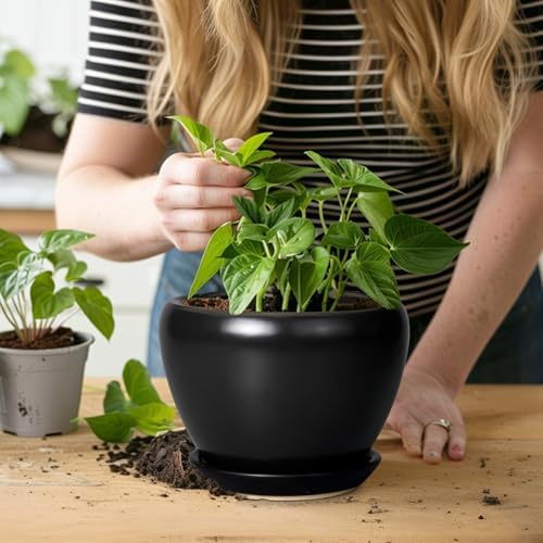Ceramicfor Ceramic Planter Pot - 6 Inch Plant Pot with Drainage Hole and Saucer Round Planter for Indoor Plants Outdoor Succulent Pot Modern Flower Pot for Home Decor Black - Image 5