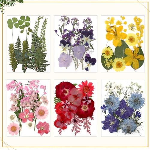Bucherry 5 Pcs Glass Frame for DIY Pressed Flowers Art Hanging Photo Picture Frame with Chain and 6 Styles Pressed Flowers Collage Glass Craft Frames for Wall Decor Display Gallery (Silver) - Image 3