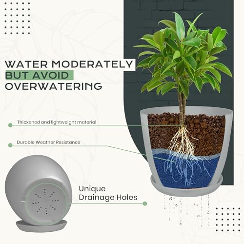 Plant Pots Indoor with Drainage, 10 Pack Multi-Size Planters Set, Grey - Image 5