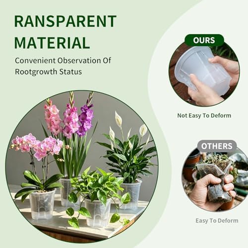 Cdd's Path Self Watering Pots Set with Deep Water Tank, Large Drainage Holes, Reservoir & Air Pipes, 5/6/7/8 Inch Naked Root Planter for Indoor Outdoor Plants, Flowers, Seedlings, Clear, 4 Pack - Image 6