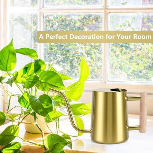 Watering Can Indoor Plants, 35oz Small Stainless Steel Metal Watering Can Modern Decorative Watering Pot with Long Spout for Indoor House Plant Bonsai Garden Flowers (Gold) - Image 3