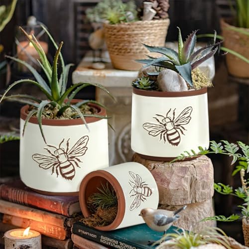 Terracotta Pots, 8+6+4 Inch Plant Pots, 3 Pcs with Drainage Holes - Image 4