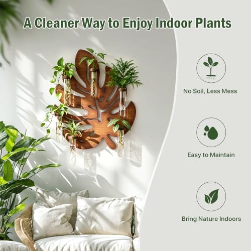 Plant Propagation Station, Monstera Hanging Wall Planter with 6 Glass Tubes - Image 5